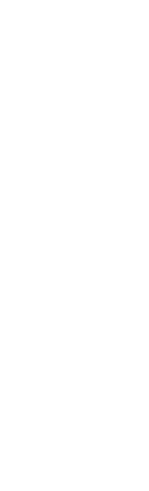 大東幼稚園の七つの魅力