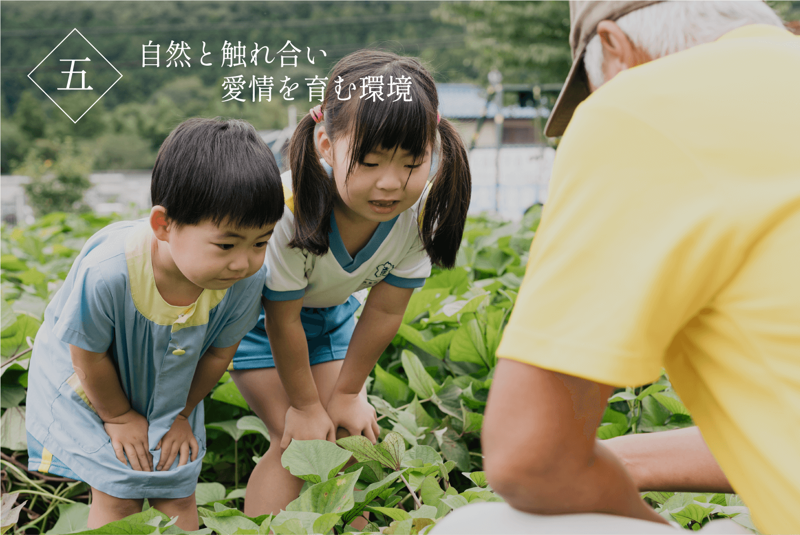 自然と触れ合い愛情を育む環境