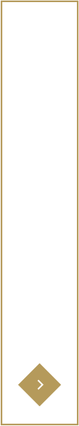 入園案内を詳しく見る