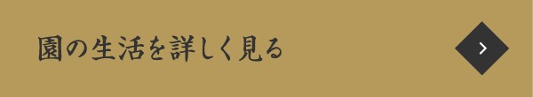 園の生活を詳しく見る